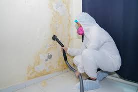 Mold Remediation for Rental Properties in Mount Pulaski, IL